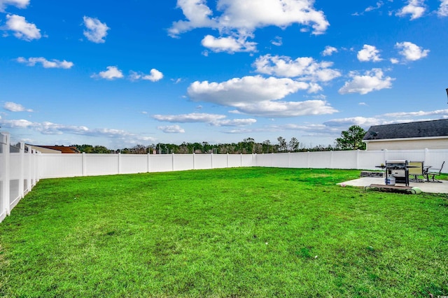 view of yard featuring a patio