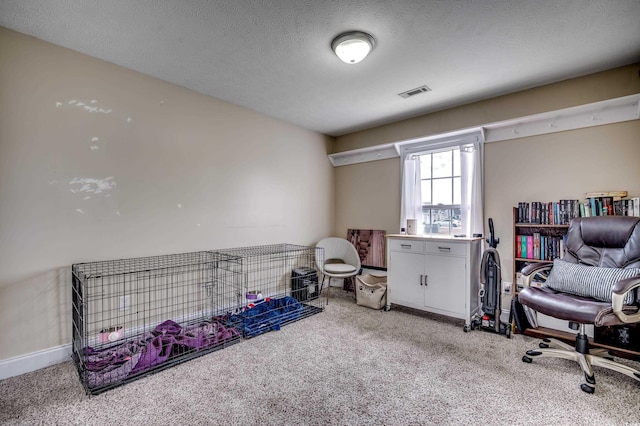 interior space featuring carpet flooring and a textured ceiling