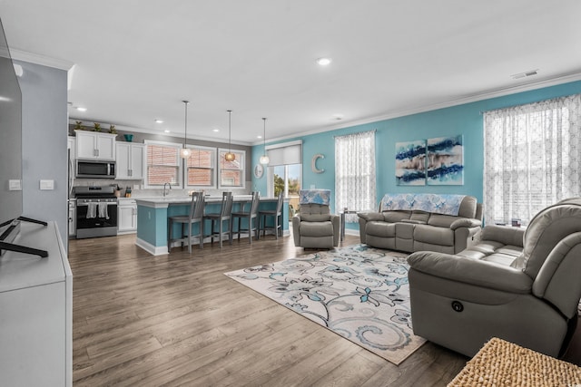 living room with crown molding, dark wood-type flooring, and sink