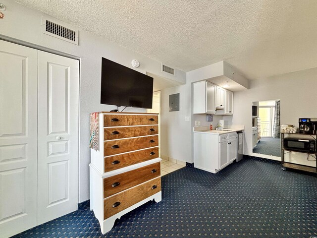 carpeted living room featuring sink and electric panel