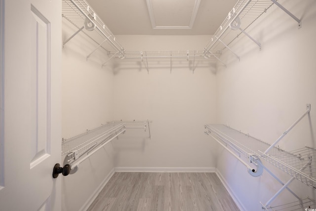 spacious closet featuring light wood finished floors