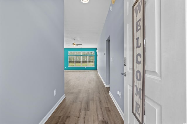 hallway with wood-type flooring