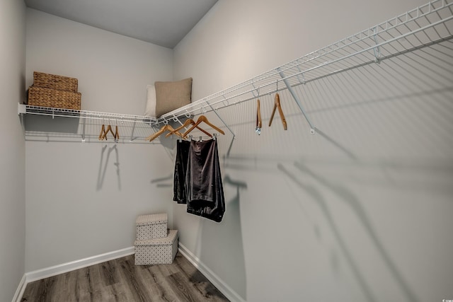 walk in closet with hardwood / wood-style flooring