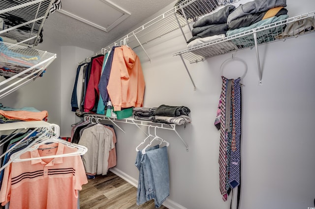 walk in closet featuring hardwood / wood-style flooring