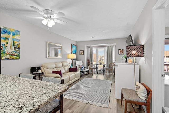 living room with light hardwood / wood-style flooring and ceiling fan