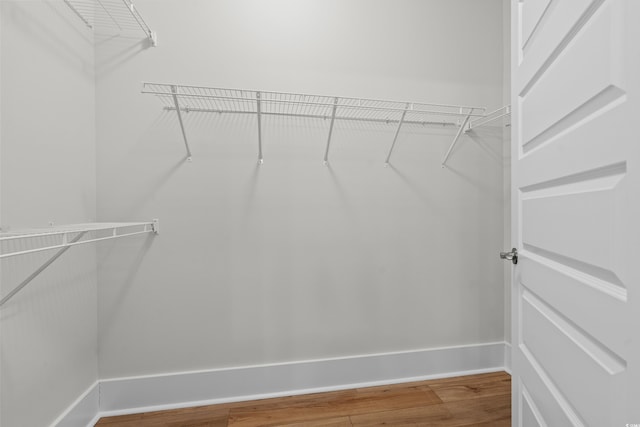 spacious closet featuring wood-type flooring