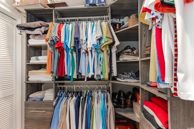 view of walk in closet