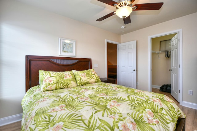 bedroom featuring a walk in closet, hardwood / wood-style floors, ceiling fan, and a closet