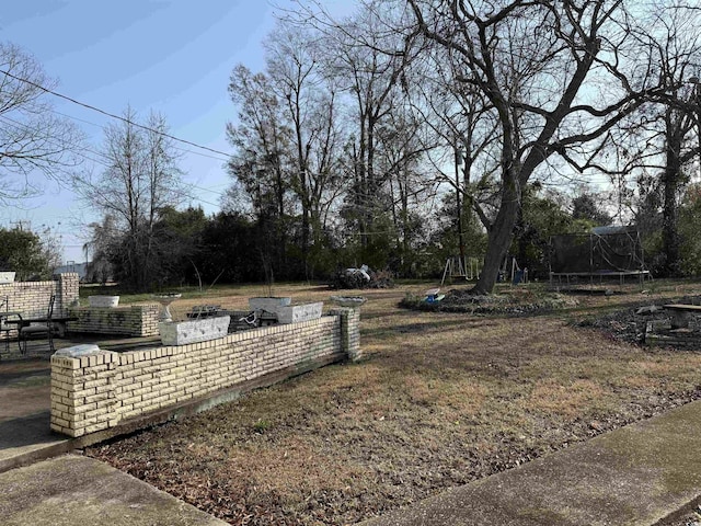 view of yard featuring a trampoline