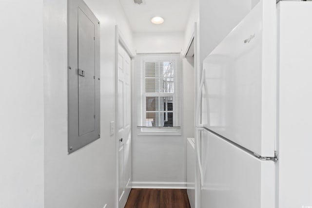 walk in closet featuring dark wood-type flooring and electric panel