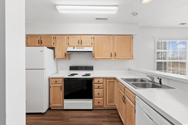 kitchen with white appliances, dark hardwood / wood-style flooring, and sink