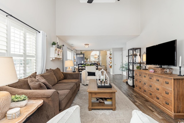 living area with a high ceiling, ceiling fan, and wood finished floors