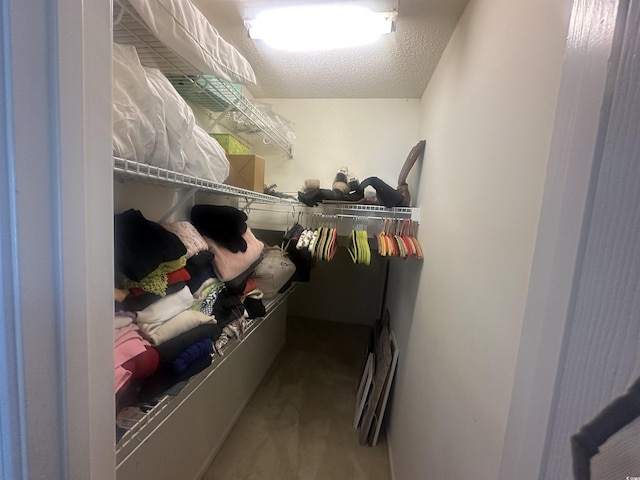 spacious closet with carpet floors