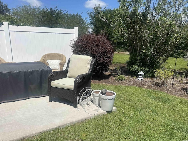 view of yard featuring a patio area