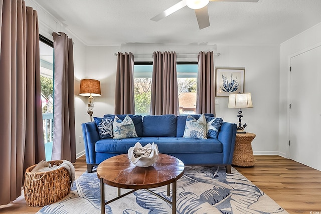 living room with ceiling fan, a wealth of natural light, light hardwood / wood-style flooring, and a textured ceiling