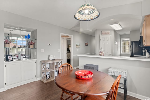 dining space with dark hardwood / wood-style floors and a wealth of natural light