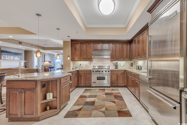 kitchen featuring backsplash, under cabinet range hood, premium appliances, a tray ceiling, and open floor plan