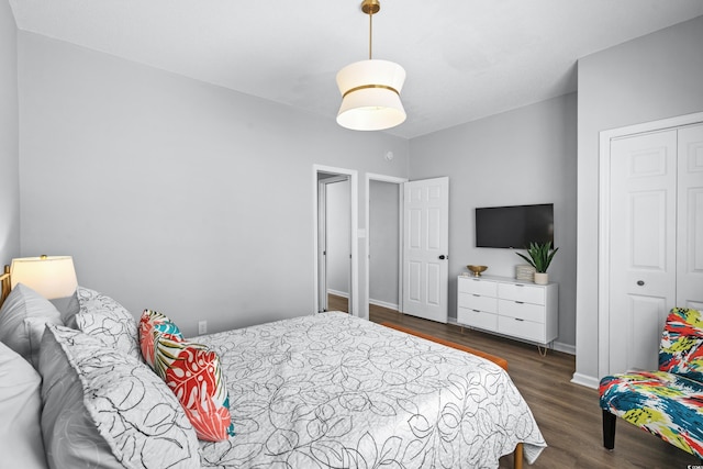 bedroom featuring dark hardwood / wood-style flooring and a closet