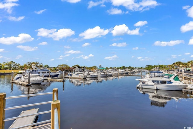 dock area with a water view