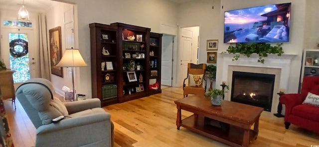 living area with hardwood / wood-style flooring and plenty of natural light