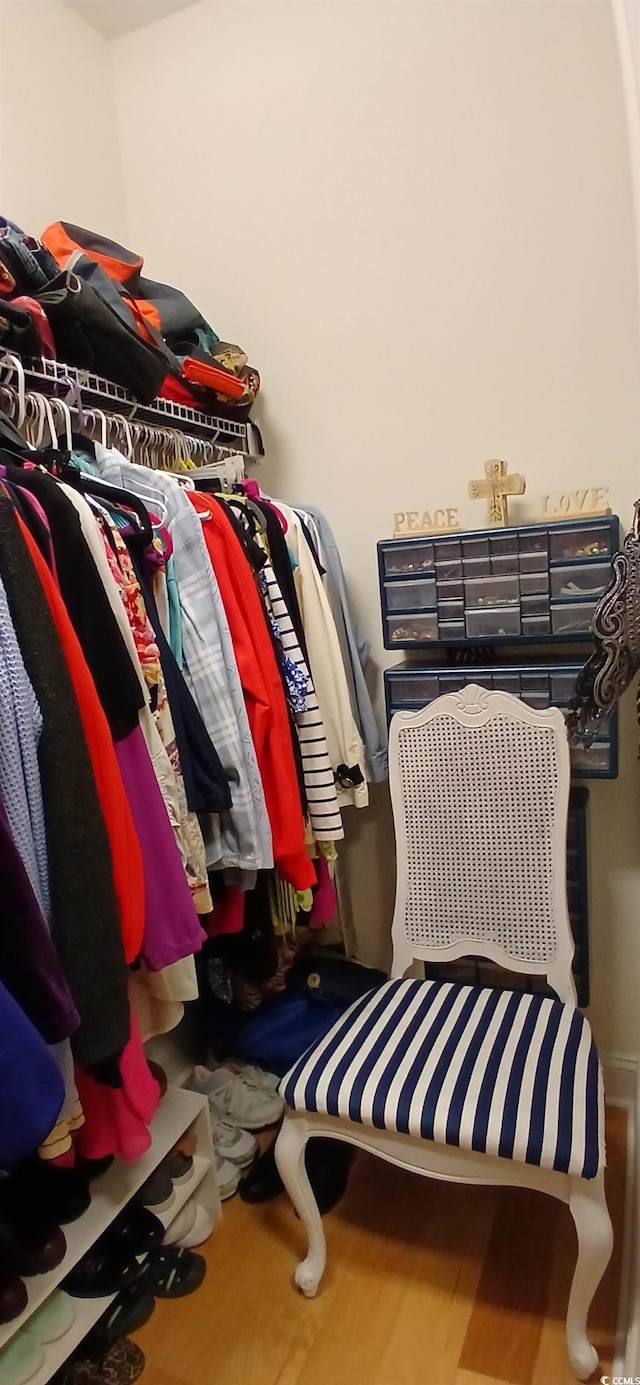 spacious closet featuring wood-type flooring