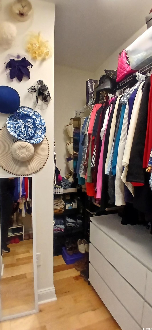 walk in closet with wood-type flooring