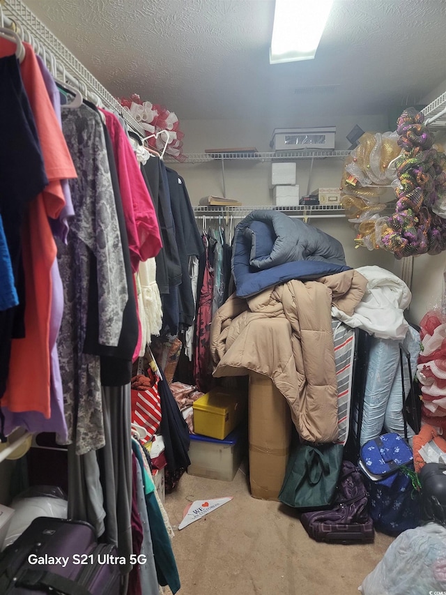 spacious closet with carpet