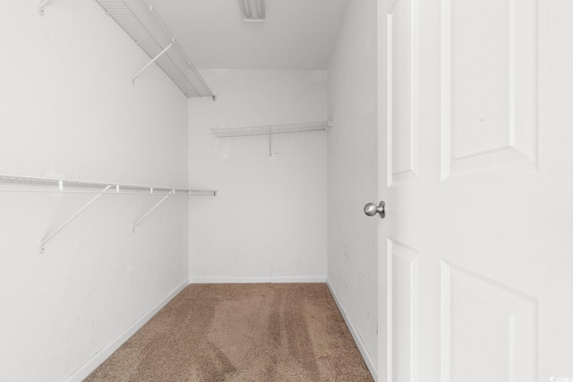 walk in closet featuring carpet floors