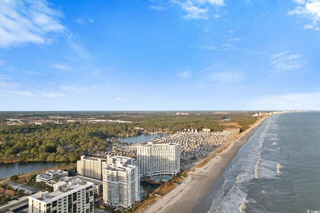 view of water feature with a beach view