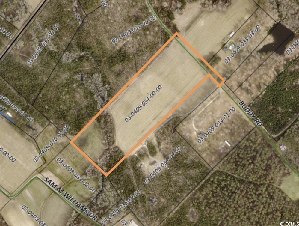 314 Buddy Rd, Hemingway, SC 29554