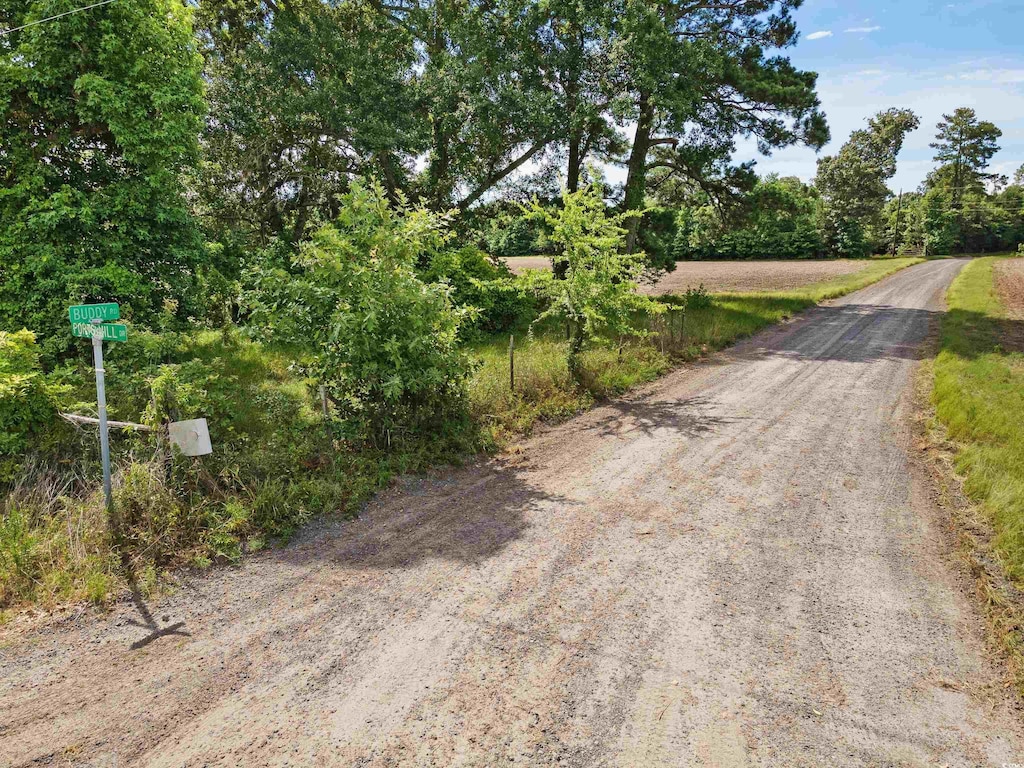 314 Buddy Rd, Hemingway, SC 29554
