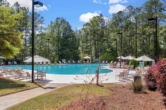 view of swimming pool with a patio