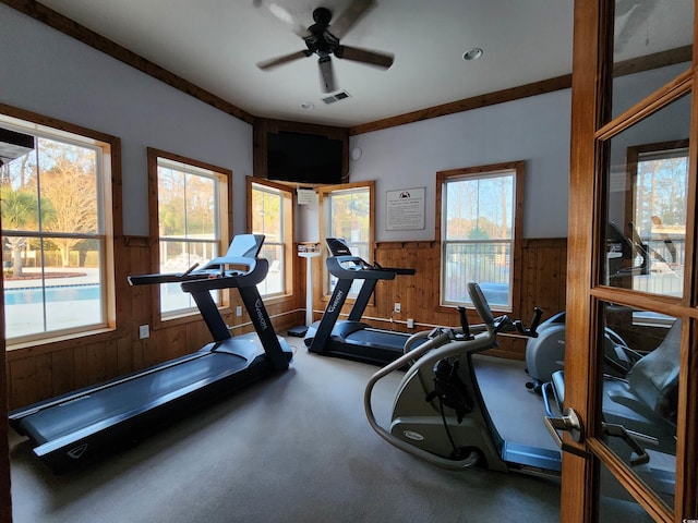 exercise room featuring ceiling fan and wood walls