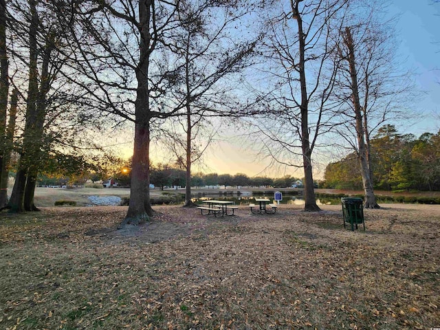 view of yard at dusk