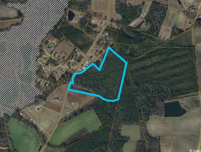 TBD14 Amber Ln, Galivants Ferry, SC 29544 - photo 6