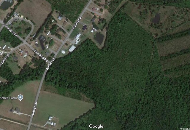 TBD14 Amber Ln, Galivants Ferry, SC 29544 - photo 5