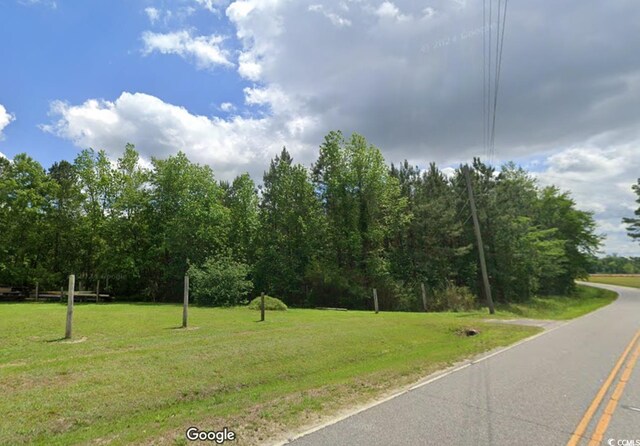 TBD14 Amber Ln, Galivants Ferry, SC 29544 - photo 4