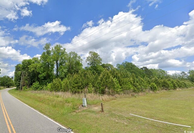 TBD14 Amber Ln, Galivants Ferry, SC 29544 - photo 3