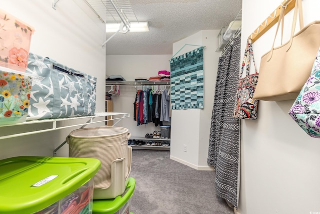 spacious closet featuring carpet floors