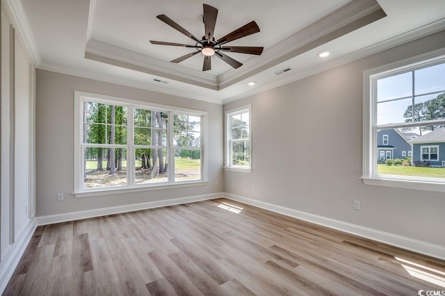 spare room with crown molding, a healthy amount of sunlight, and a raised ceiling