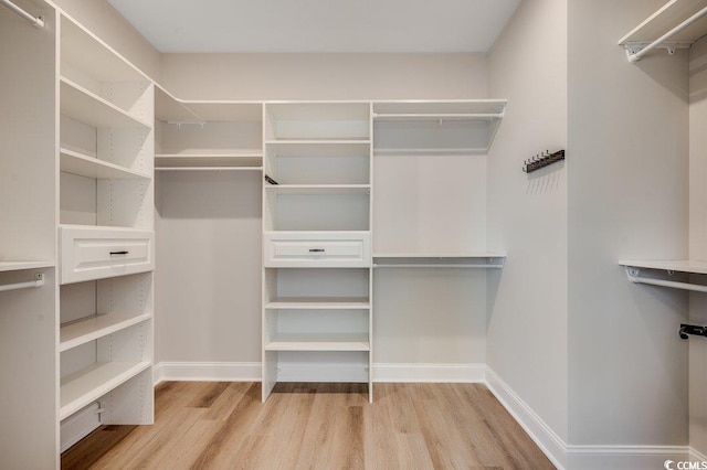 spacious closet with light wood-style flooring