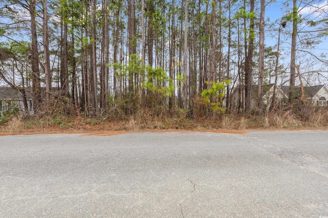 3435 Spivey St, Loris SC, 29569 land for sale