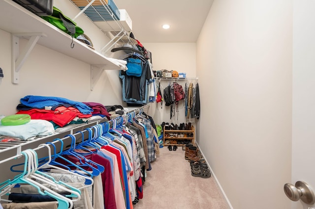 walk in closet featuring carpet flooring