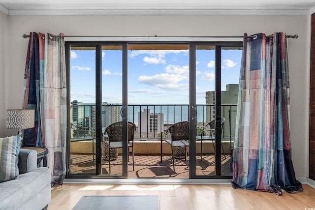 doorway to outside with light hardwood / wood-style floors, a healthy amount of sunlight, and a water view