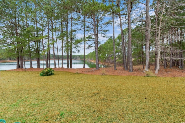 view of yard featuring a water view