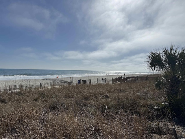 view of water feature featuring a beach view