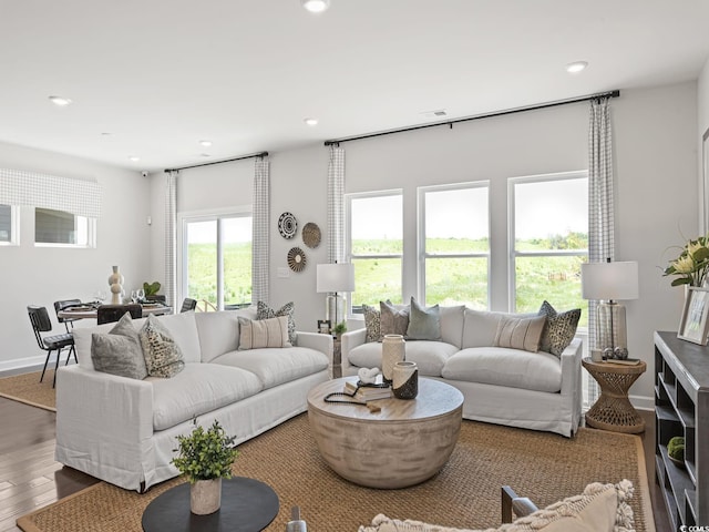 living area featuring baseboards, wood finished floors, and recessed lighting