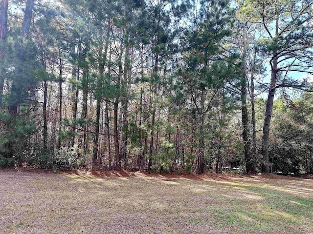 Listing photo 2 for 18 Monarch Ct, Pawleys Island SC 29585