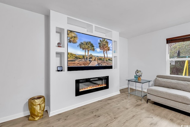 145 Bendick Ct, Little River, SC 29566 - sitting room featuring baseboards, a glass covered fireplace, and wood finished floors