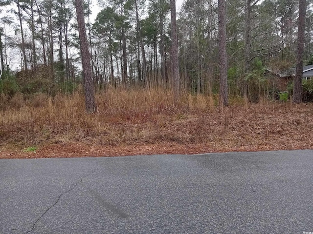 510 E Oliver St, Whiteville NC, 28472 land for sale